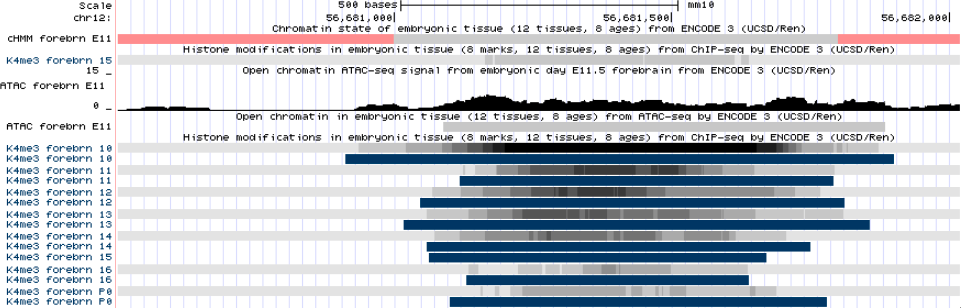 Example of the ENCODE 3 Regulation supertrack